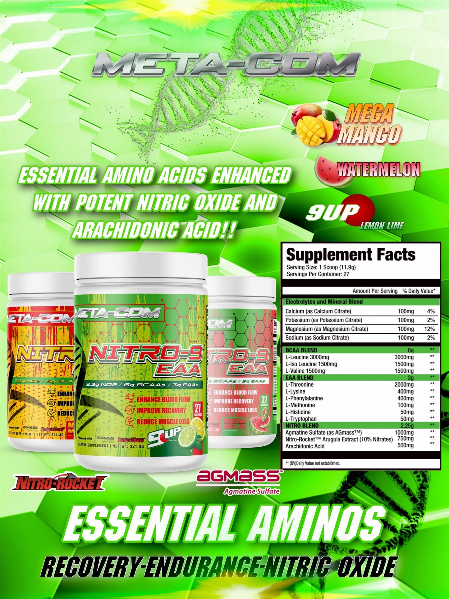 Nitro-9 EAA, AMINO ACIDS